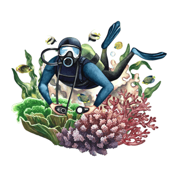 The diver swims underwater. Underwater travel. Watercolor hand drawn. Concept for label, banner, flyer, brochure. png