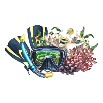 Diving equipment. Diver mask with fins, corals and sea fish. Hand painted with watercolors. Underwater trip. For the design of labels, cards and banners, flyers and brochures. For printing, stickers. png