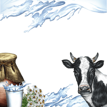 A frame with a cow and dairy products and a splash of milk. A hand-drawn watercolor illustration. For milk advertising banner, packaging of dairy product labels. For posters, prints, business cards. png