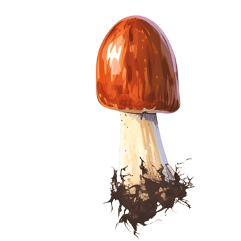 AI generated Mushroom With root png