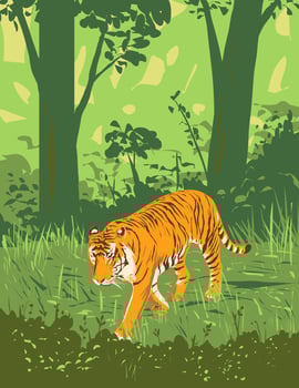 Bengal Tiger in Kanha Tiger Reserve Madhya Pradesh India Art Deco WPA Poster Art vector