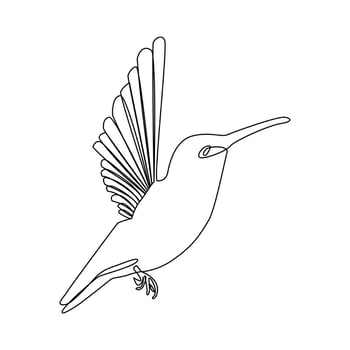 Humming bird continues single line art and outline vector illustration on white background and minimal