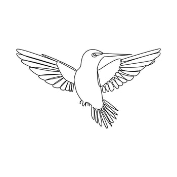 Humming bird continues single line art and outline vector illustration on white background and minimal