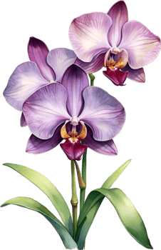 AI generated Watercolor painting of Zygopetalum Orchid flower. Illustration of flowers. AI-Generated. png