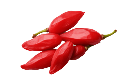 AI generated Vibrant Goji Berry Illustration on Transparent background png