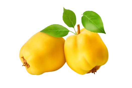 AI generated Realistic Quince Illustration on Transparent background png
