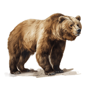 AI generated Realistic Cave Bear, on transparent background. png