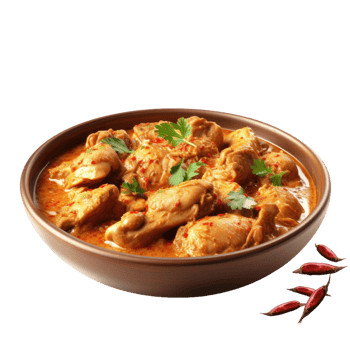 Realistic Chicken Curry, on transparent background. png