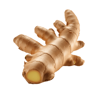 AI generated Ginger root vegetable icon isolated transparent background png
