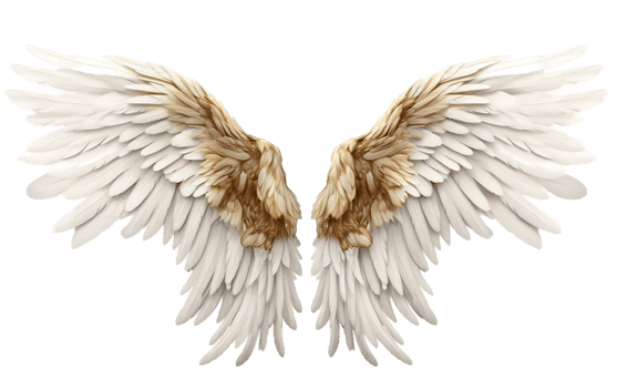 AI generated Clean Design Angel Wings with Transparent Isolation Generative AI png