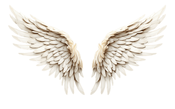 AI generated Clean Design Angel Wings with Transparent Isolation png
