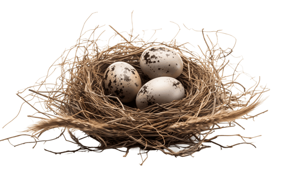 AI generated Isolated Nest with Eggs PNG on Transparent Background Generative AI
