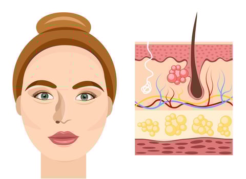 Human skin. Portrait of a girl vector