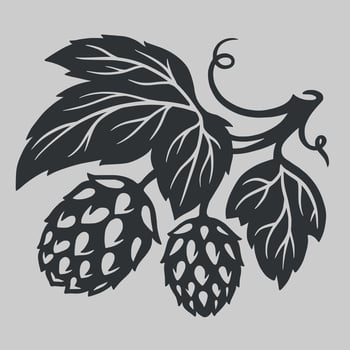 Black and white craft beer hop seed vector