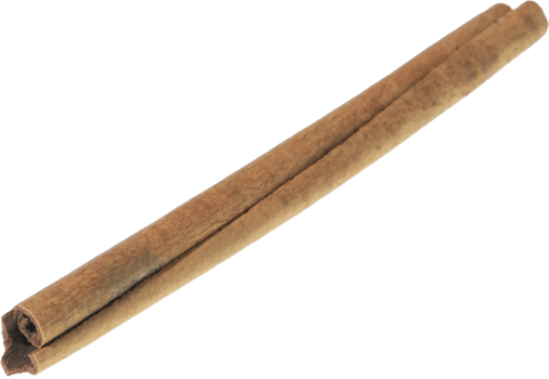 cinnamon stick cut out on transparent background. png