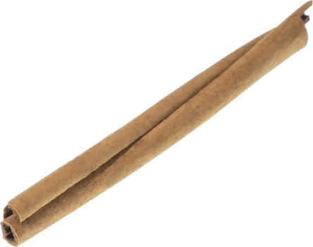 cinnamon stick cut out on transparent background. png