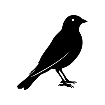 AI generated Silhouette bird full body black color only png
