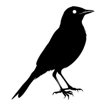AI generated Silhouette bird full body black color only png
