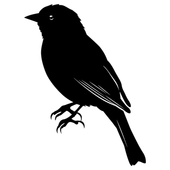 AI generated Silhouette bird full body black color only png