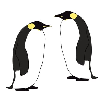 Vector illustration of couple penguin emperor on white background