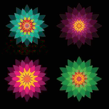 colorful flower mandala design set vector