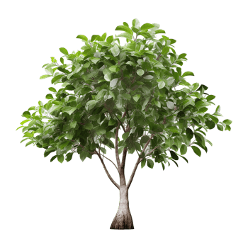 AI generated Green tree isolated on transparent background png
