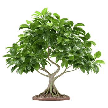 AI generated Green tree isolated on transparent background png