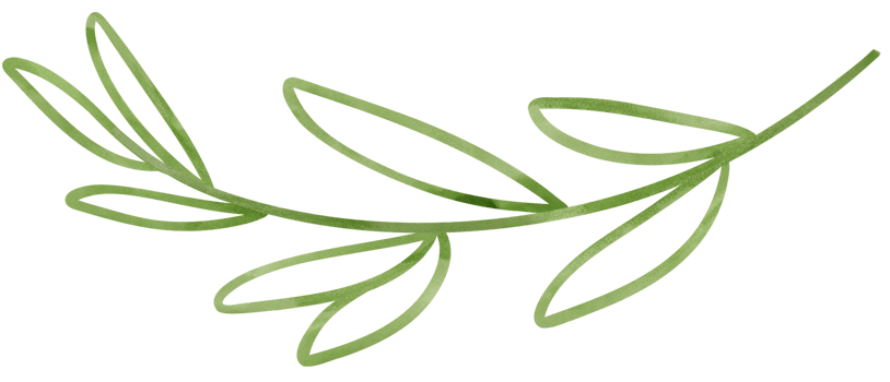 Bamboo leave watercolor png