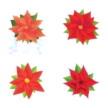 Red poinsettia icons set cartoon vector. Poinsettia plant with star flower vector