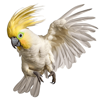 AI generated Beautiful cockatoo parrot flying isolated on transparent background png