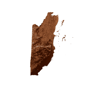 Map of Belize in old style, brown graphics in a retro style Vintage Style. High detailed 3d illustration png