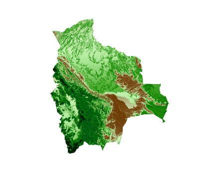 Bolivia Topographic Map 3d realistic map Color 3d illustration png