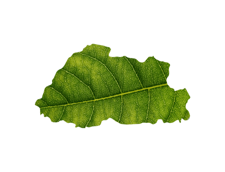 Bhutan map made of green leaves ecology concept png