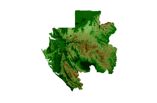 Gabon Topographic Map 3d realistic map Color 3d illustration png