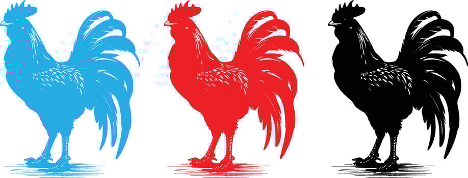 Vector illustration. Black silhouette of a rooster standing on one leg. Isolated on a white background.