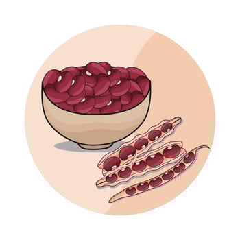 illustration of red beans bowl vector