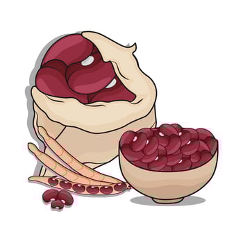 illustration of kidney red beans bag vector