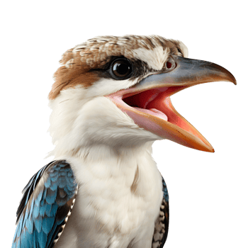 AI generated Hornbill Bird on Transparent background - Ai Generated png