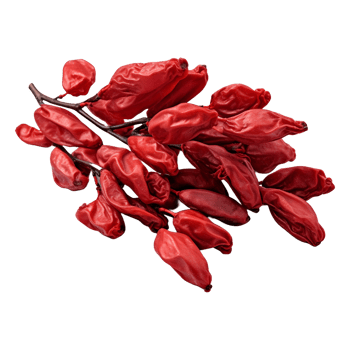 AI generated Dry red pepper on Transparent background - Ai Generated png