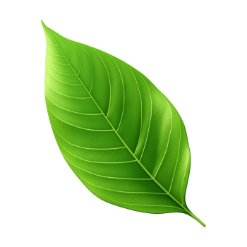 AI generated 3d green leaf isolated on transparent background png