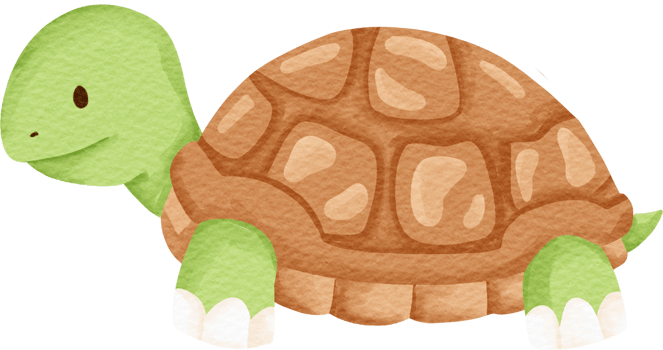 watercolor animal turtle png