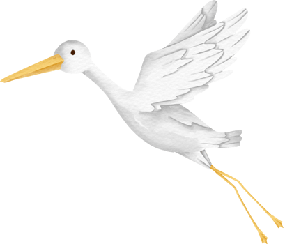 watercolor animal Stork png