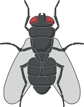 vector fly without background