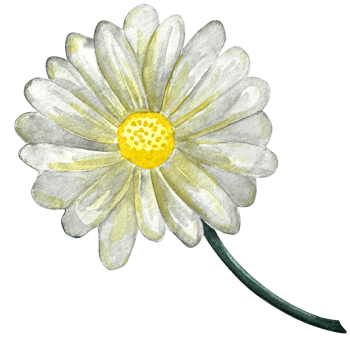 Watercolor flowers and green leaves, floral illustration for greeting card, invitation and other printing design. png