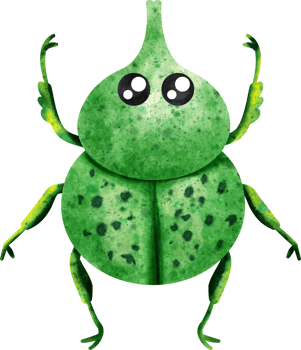 watercolor insect beetle png