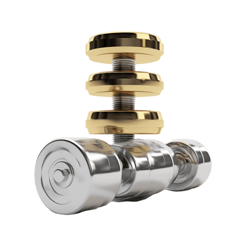 AI generated Pair of weights isolated on transparent background png