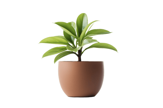 AI generated Botanical Elegance on a Clean Canvas On Transparent Background png