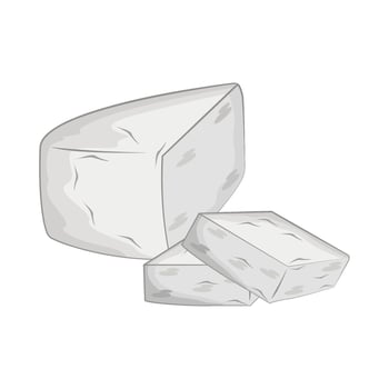 illustration of tofu vector