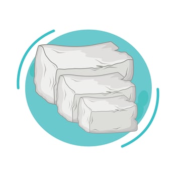 illustration of tofu vector