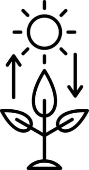 Photosynthesis Line Icon vector